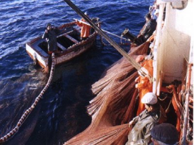 PESCA RIO (6)  CAMPESINOS